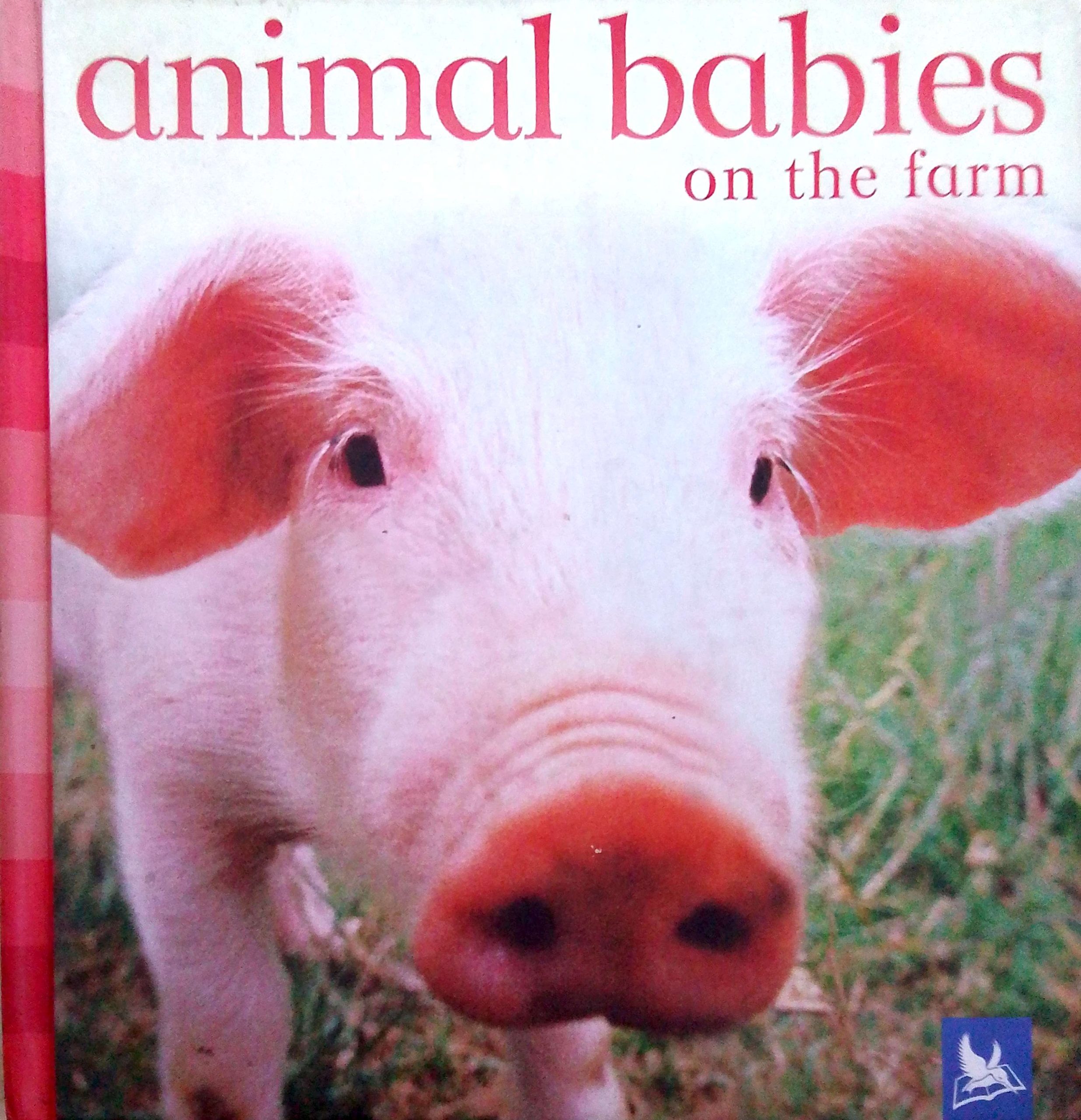 Animal Babies on the Farm