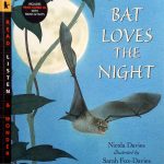 Bat Loves the Night