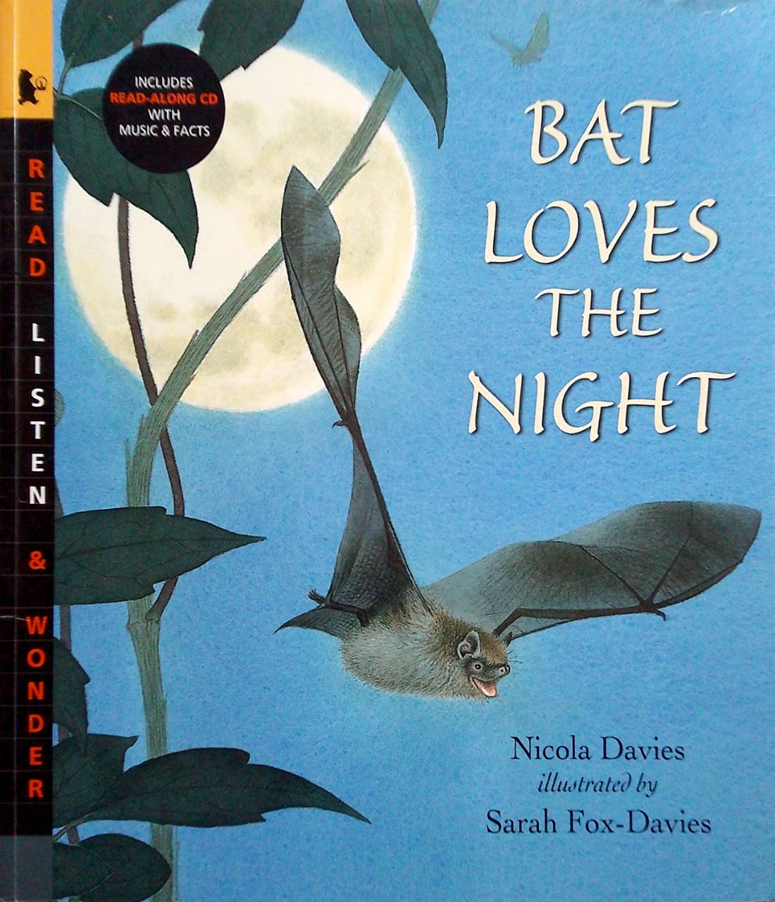 Bat Loves the Night