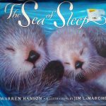 The Sea of Sleep
