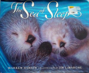 The Sea of Sleep