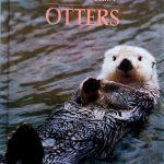 Otters