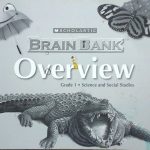 Scholastic Brain Bank Overview (Grade 1)
