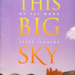 This Big Sky