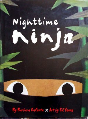 Nighttime Ninja