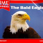 The Bald Eagle