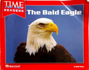The Bald Eagle