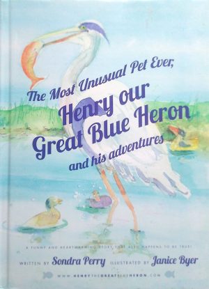 Henry our Great Blue Heron and his adventures